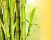 Massage mit Bambusstäben in Hamburg